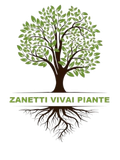 Logo “ZANETTI VIVAI PIANTE”