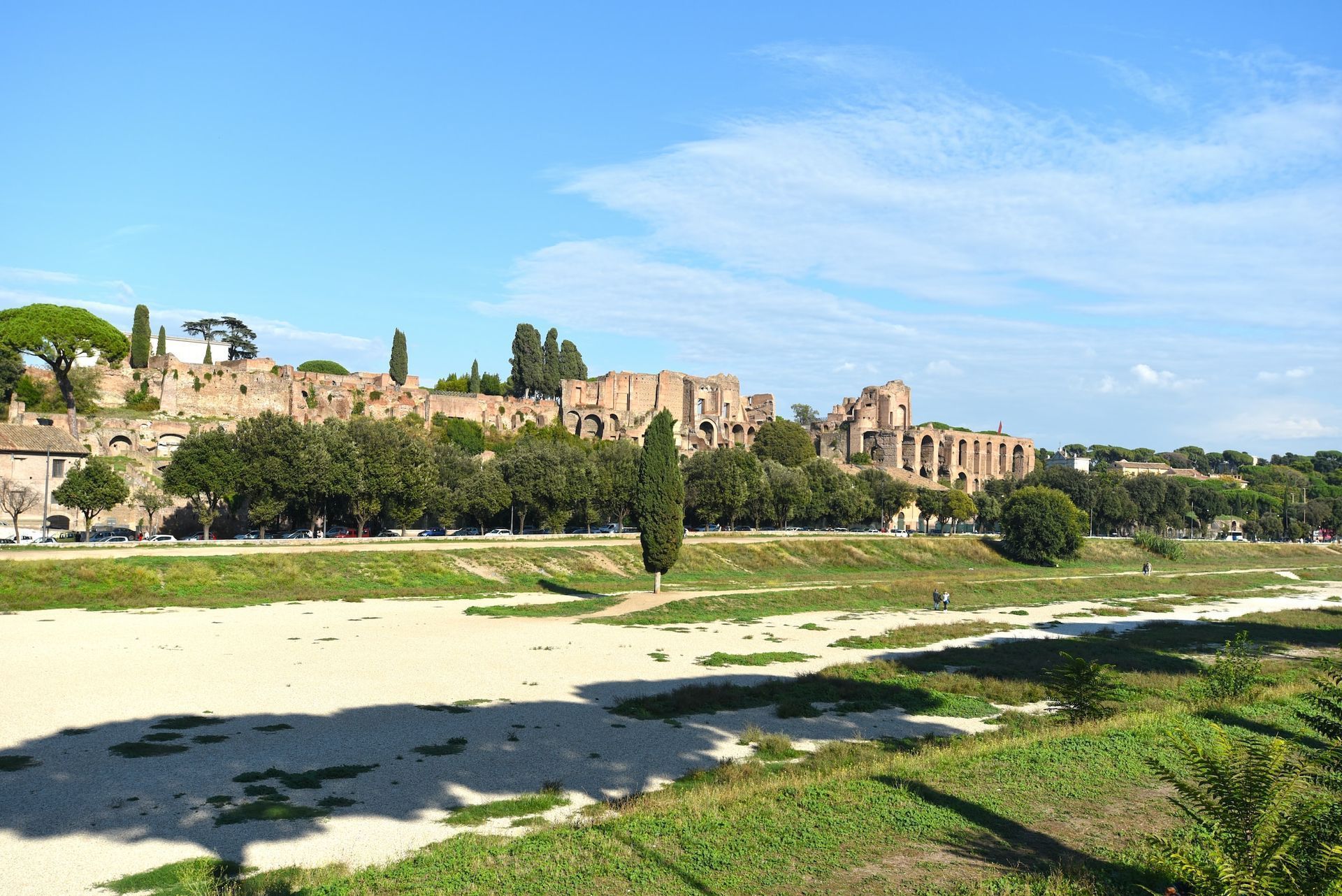 Un campo con alberi e edifici sullo sfondo
