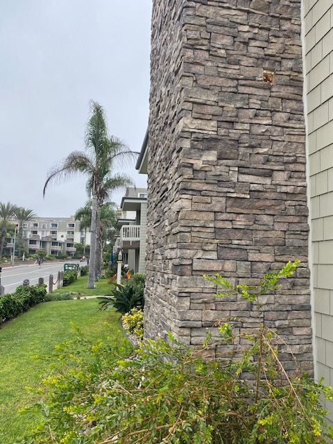 Stone-clad building corner beside a green lawn, palm tree, and residential street