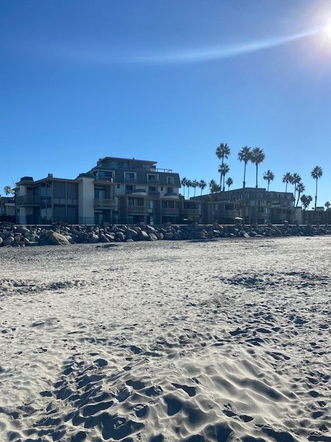 Sunny beach with a low seaside building and palm trees along the shore