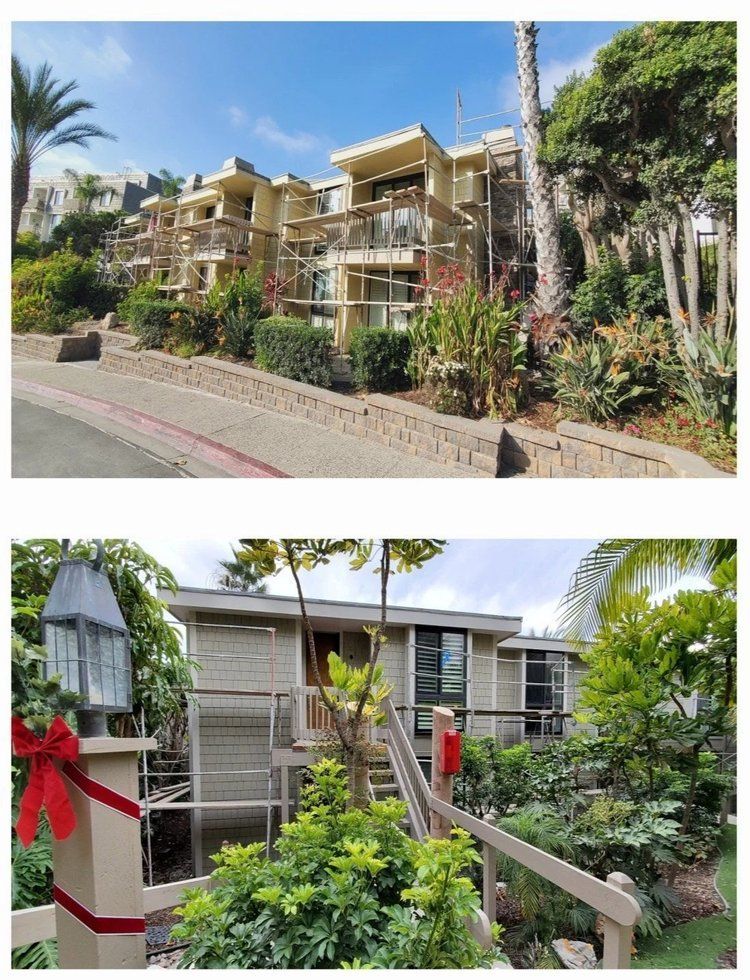Apartment buildings surrounded by lush tropical landscaping along a street