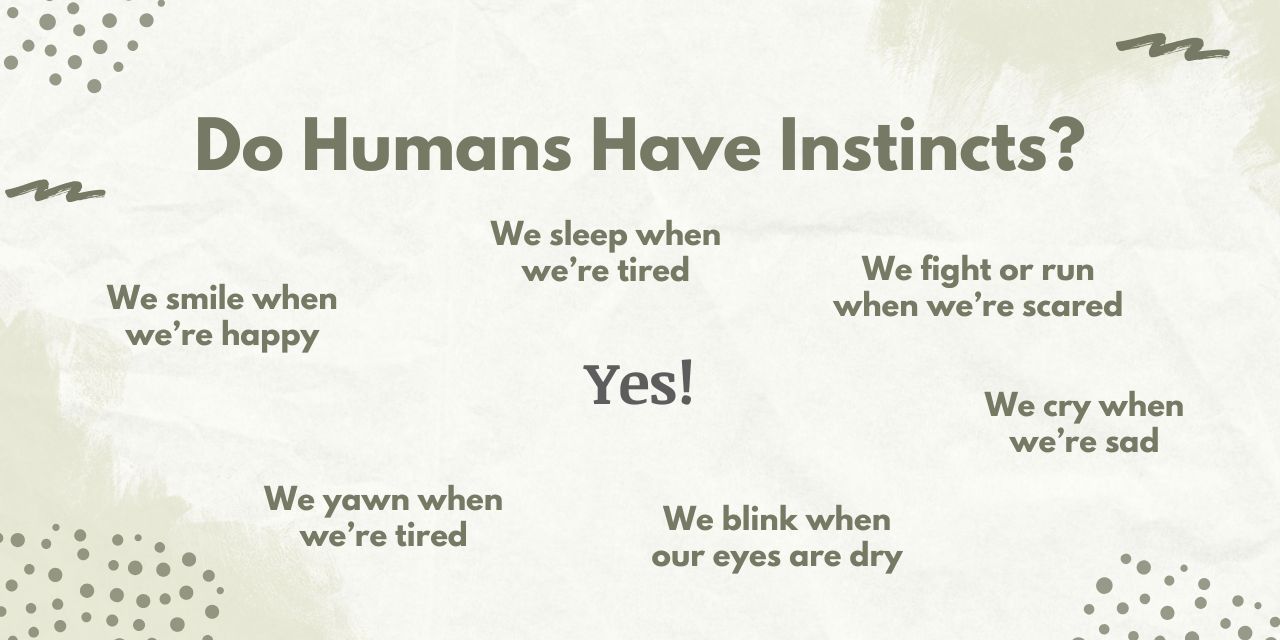 what instincts do humans have