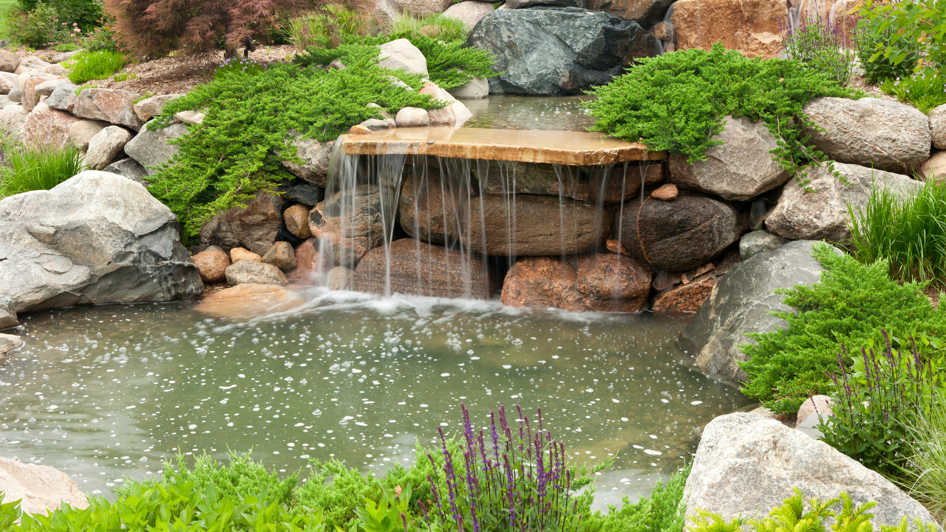 Small garden pond with a waterfall, rocks, and green plants surrounding the water
