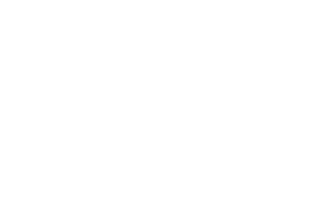 Logo Exca Angel