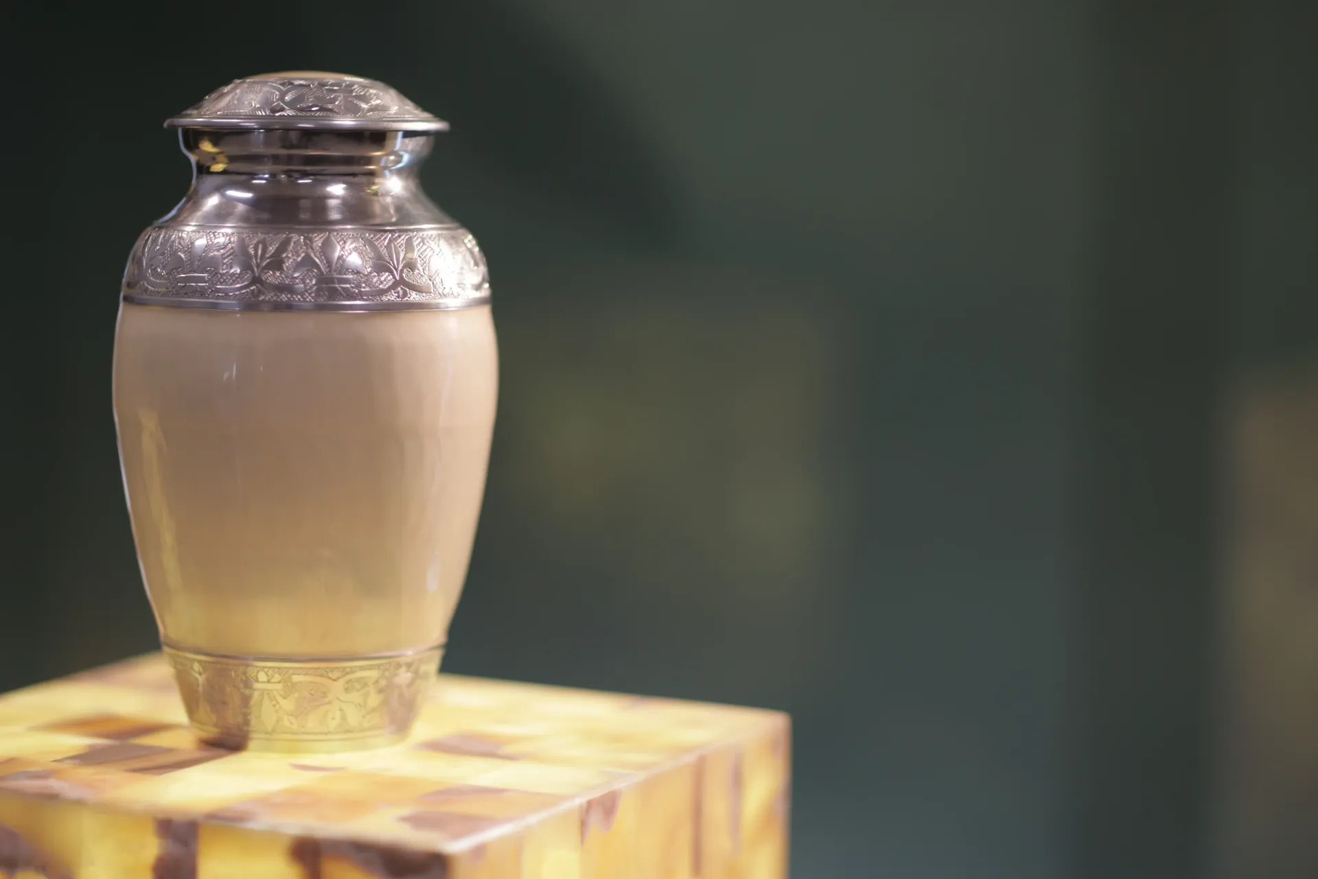 Our Services