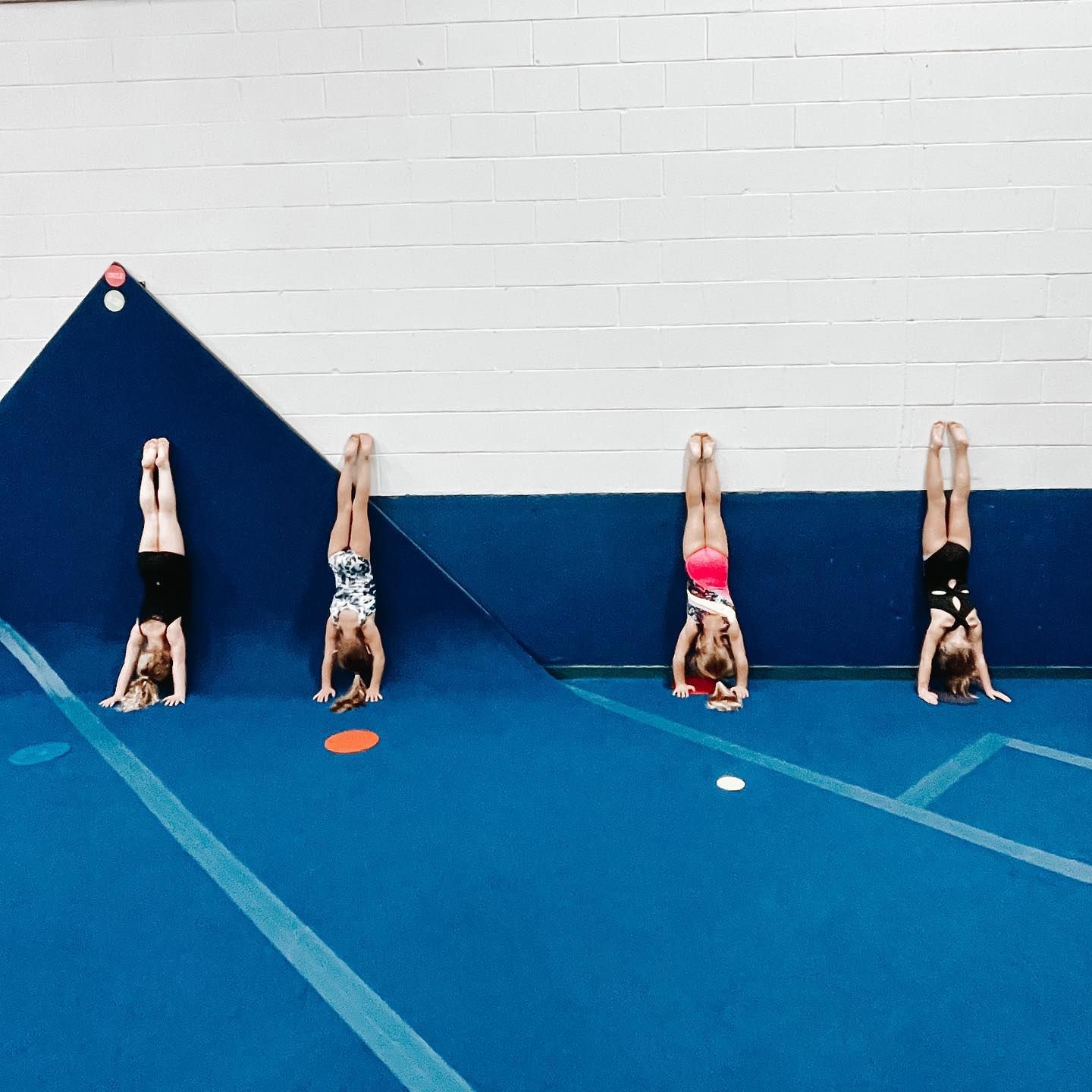 Gymnasts doing handstands against a blue wall in a gymnastics gym