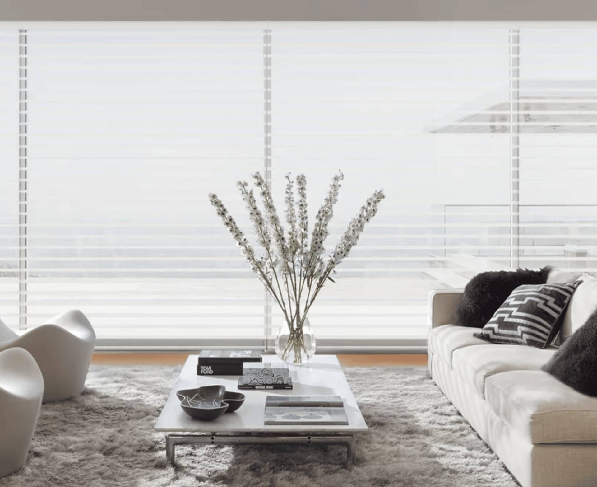 Hunter Douglas Silhouette® Sheer Shades covering a large living room window near North Fort Myers, FL