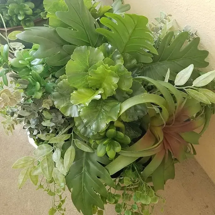 Arrangement of various green plants, some with intricate leaf shapes, in a white container.