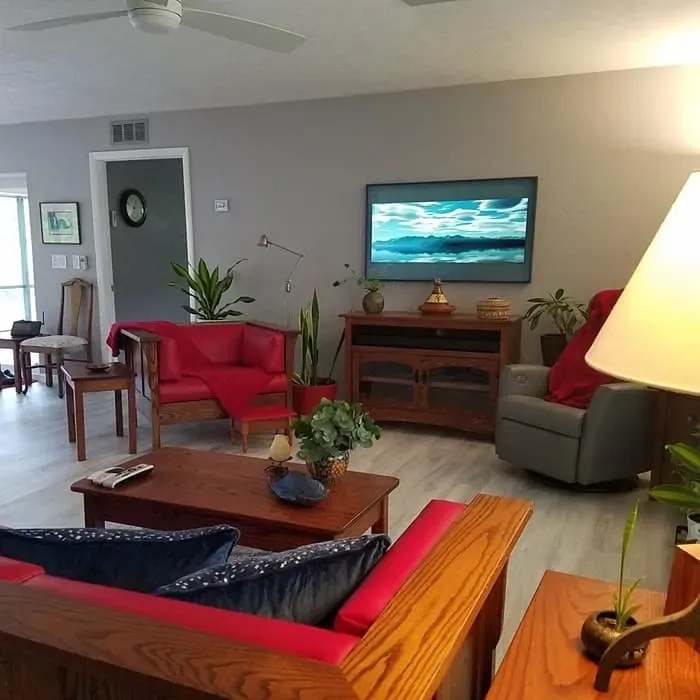 Living room with red sofa, TV, wooden furniture, plants, and gray walls.