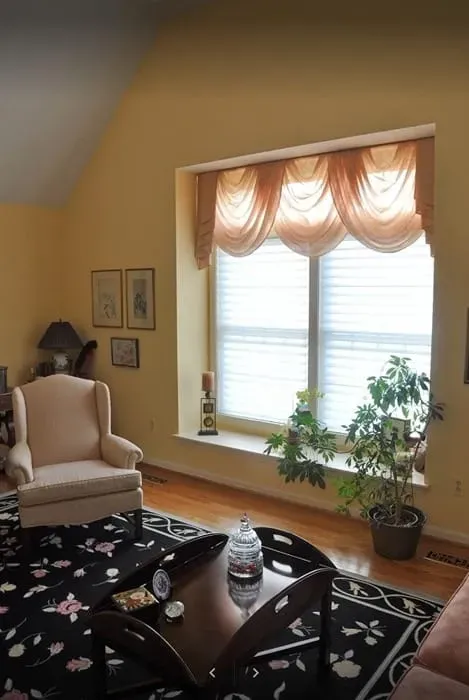Living room with an armchair, patterned rug, coffee table, and large window with draped valance and blinds.