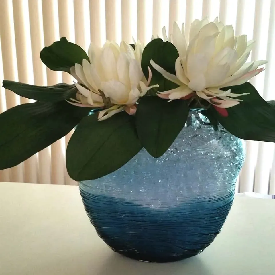 White flowers in a blue ombre vase with green leaves on a white surface, near a window.