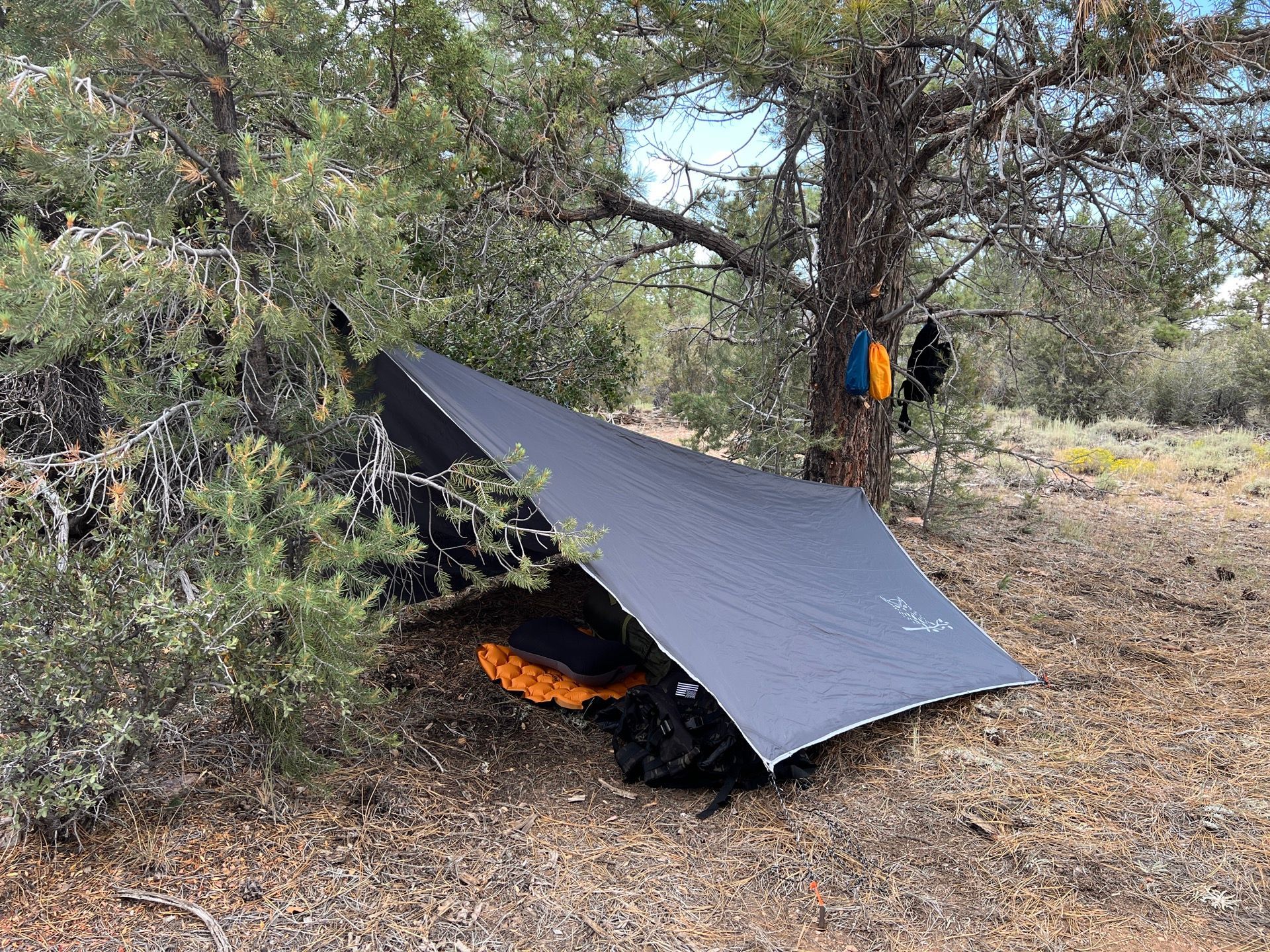 A black tarp shelter is set up under a tree in a dry, outdoor environment.