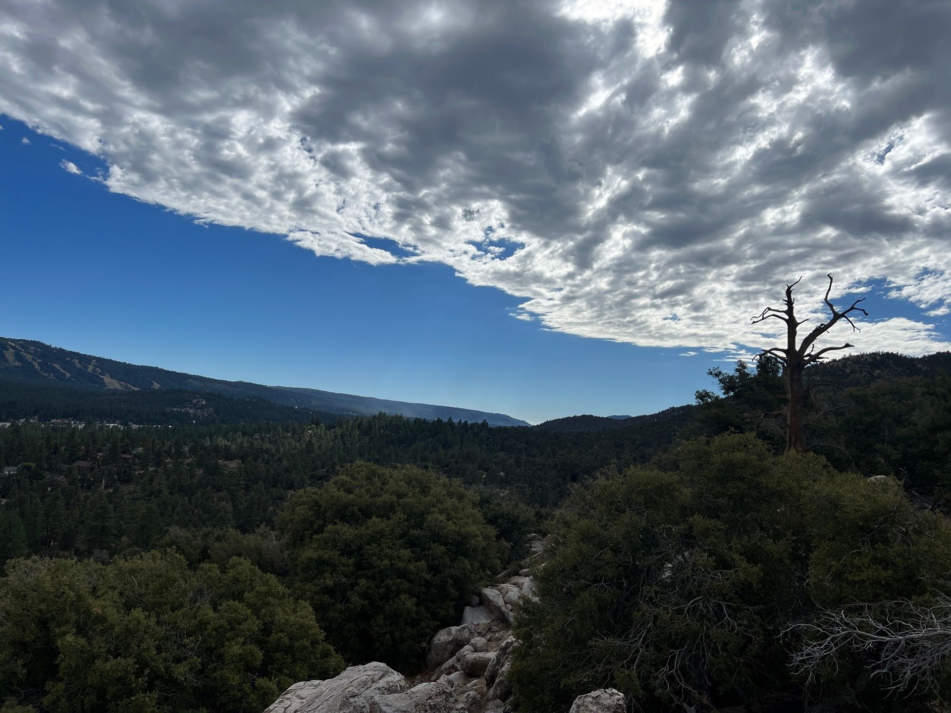 Overlooking a forest landscape with cloudy sky. Dark green trees and bushes cover the lower half. Blue sky peeks through the clouds.