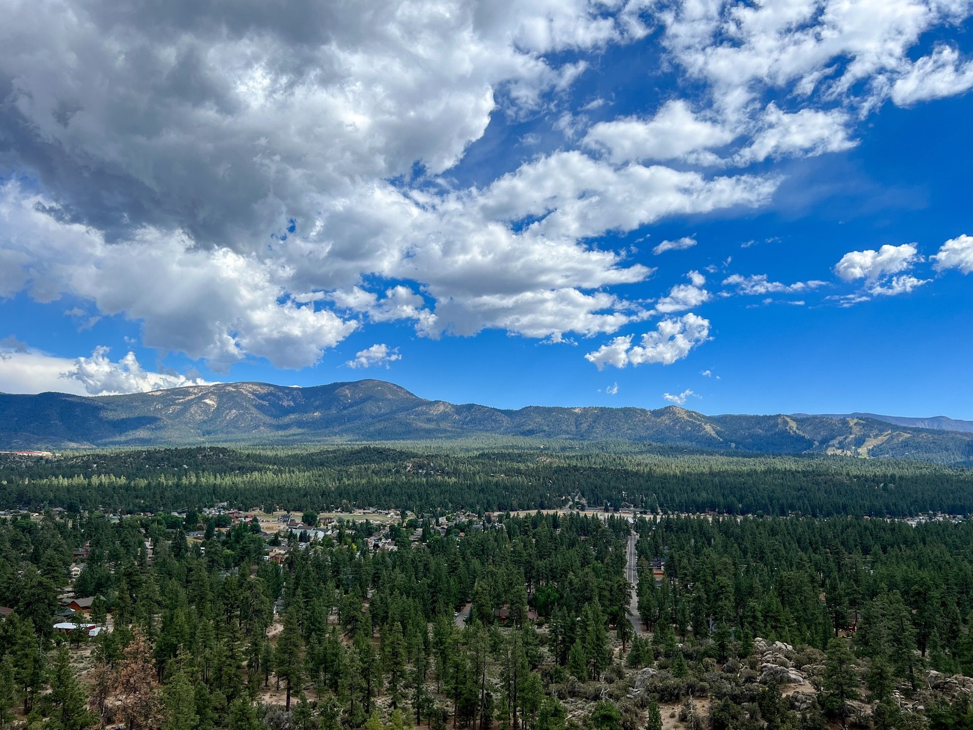 Vast forest under partly cloudy blue sky, mountain range in the distance.