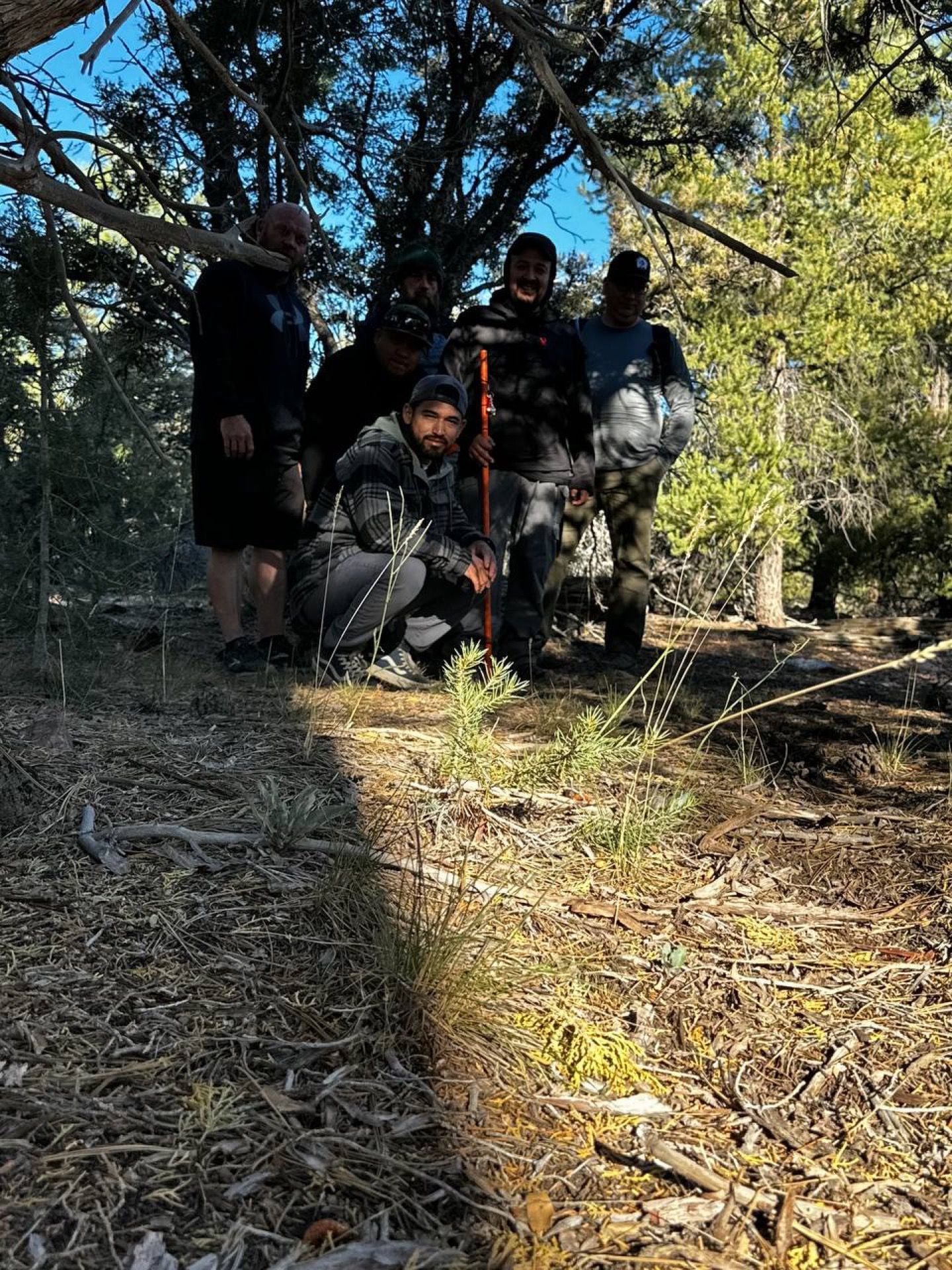 Group of people in a forest, one crouching. Sunlight streams through trees.