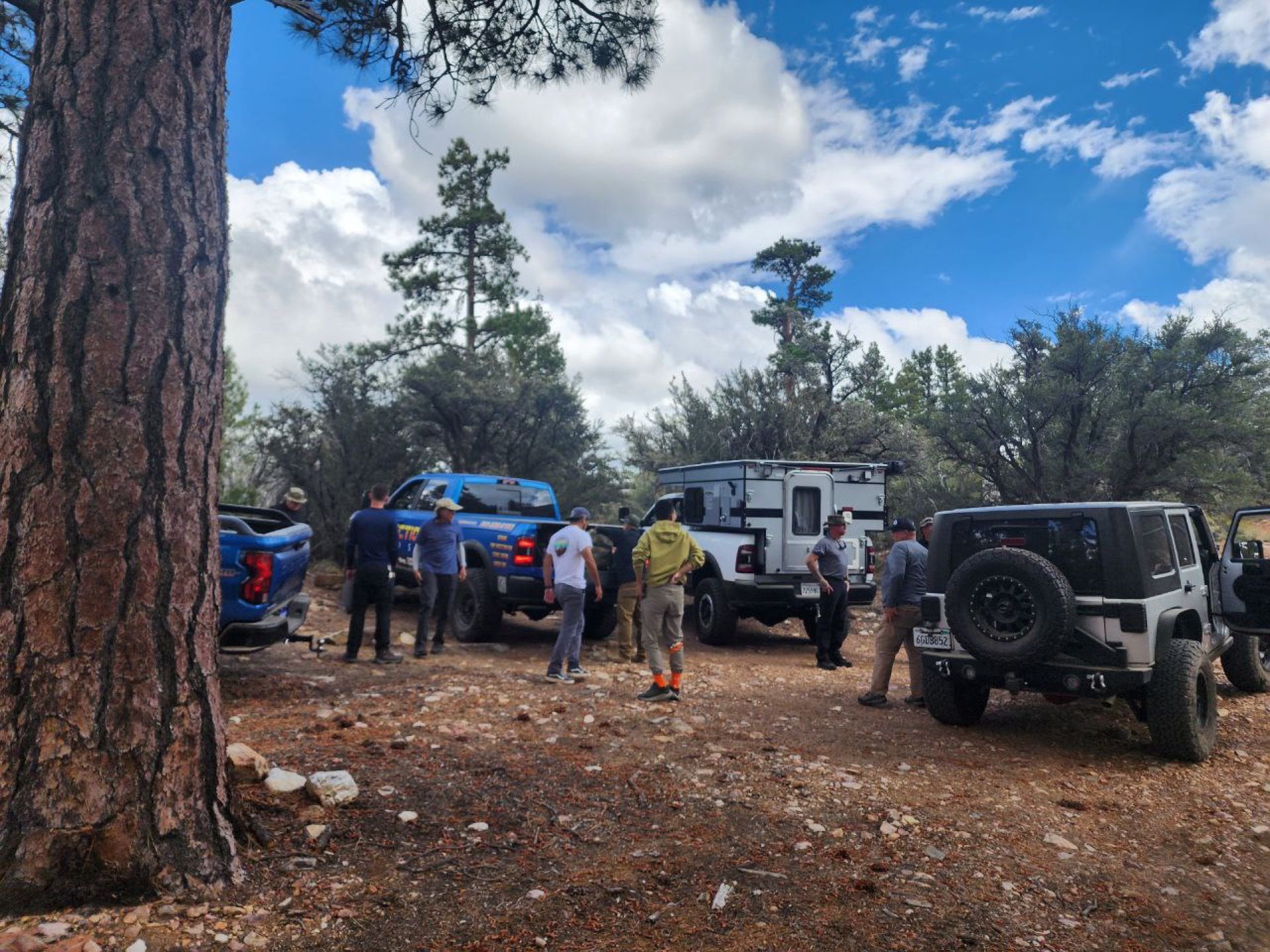 Group of people and vehicles in a forest, likely a search or rescue operation. Cloudy sky above.