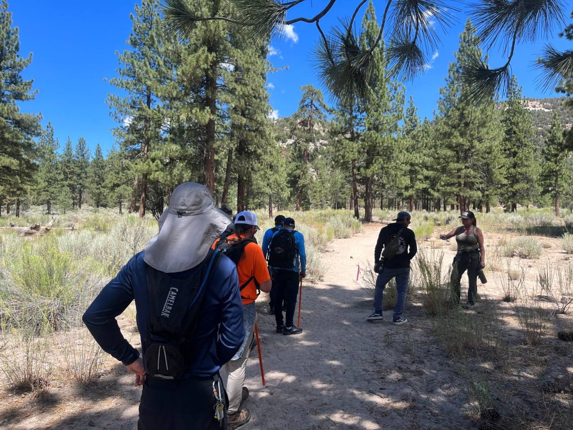 Group hiking on a path in a forest under a blue sky. A woman gestures to the right.