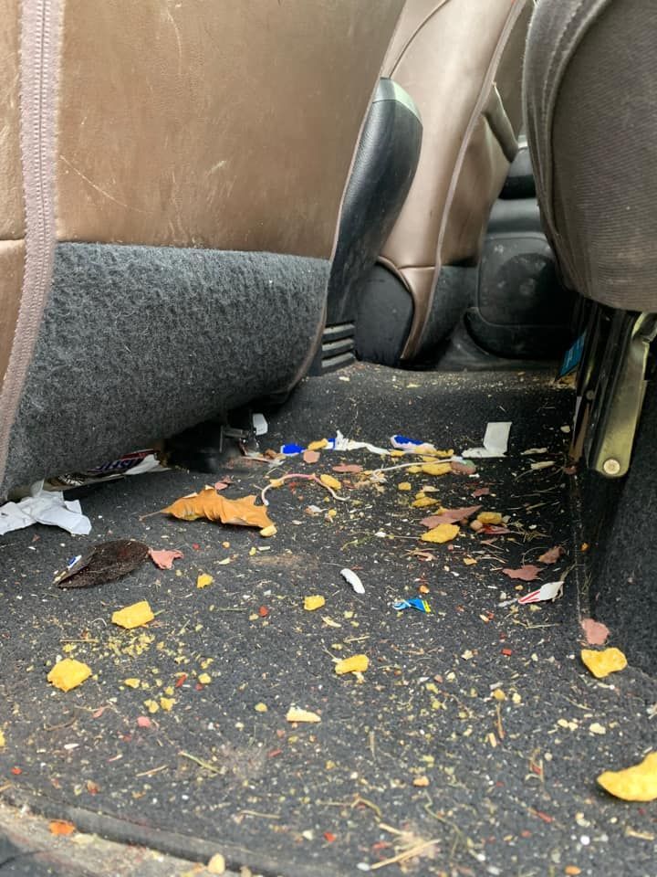 Car interior with crumbs and debris on the floor, near seats. Beige, yellow, blue, and brown particles.