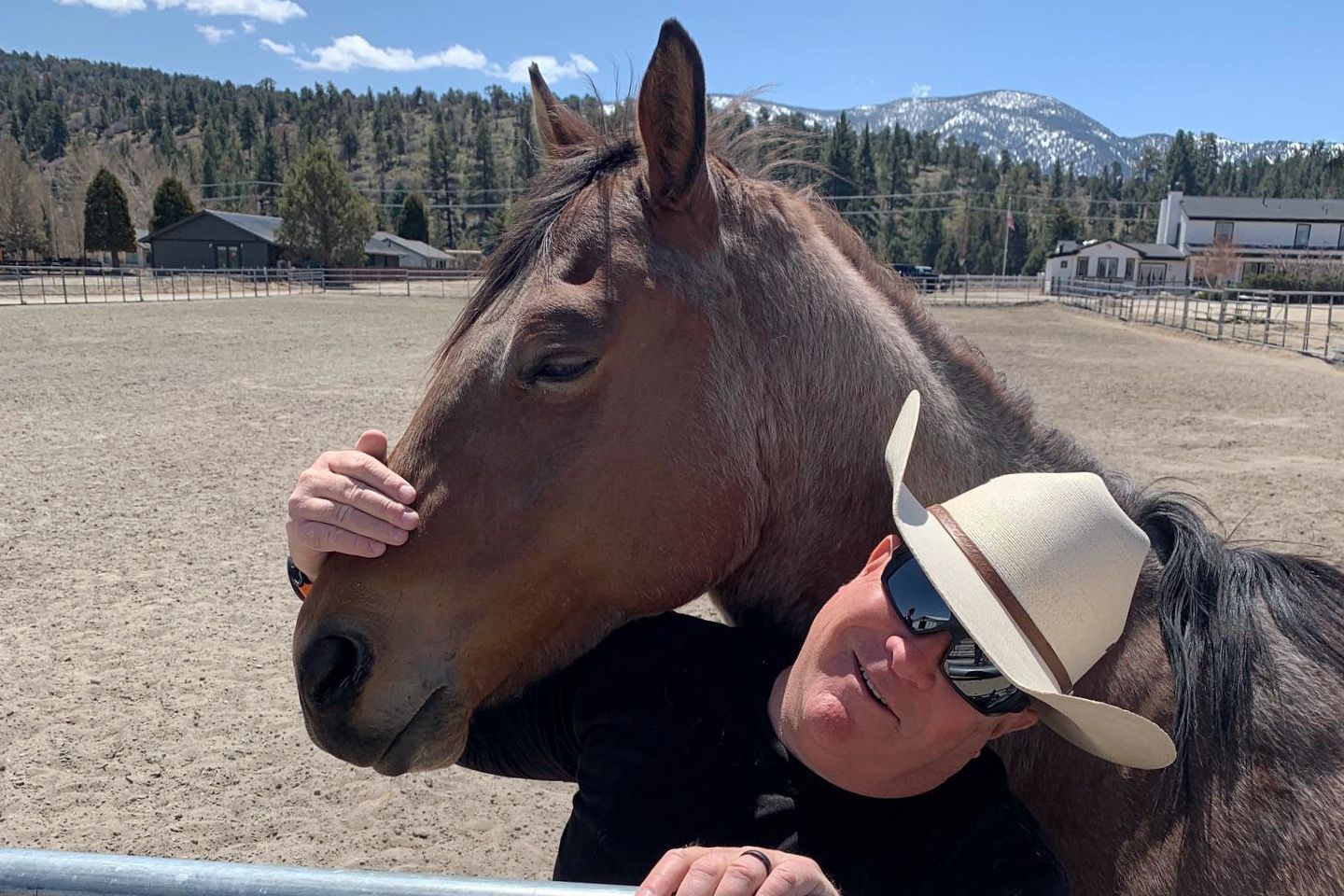 Renny Doyle Horse