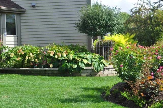 Landscape Maintenance 1