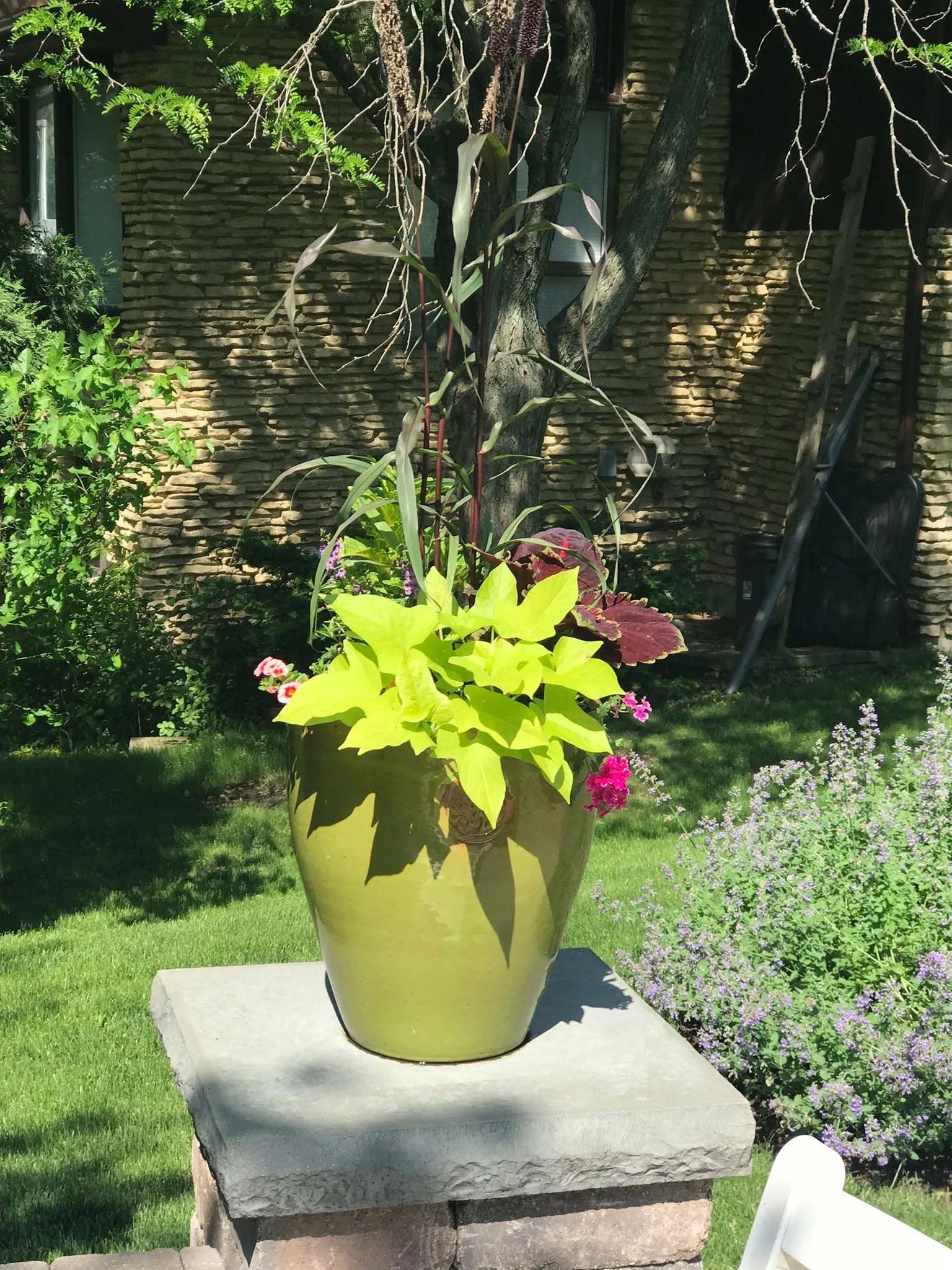 landscape maintenance 2