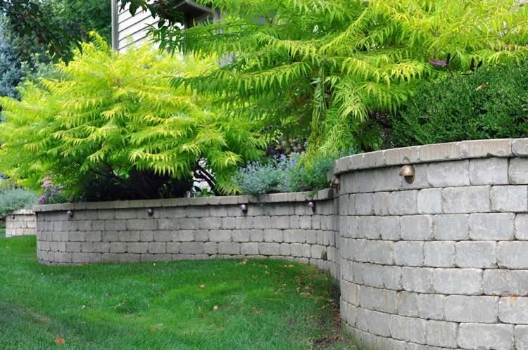 landscape maintenance 7