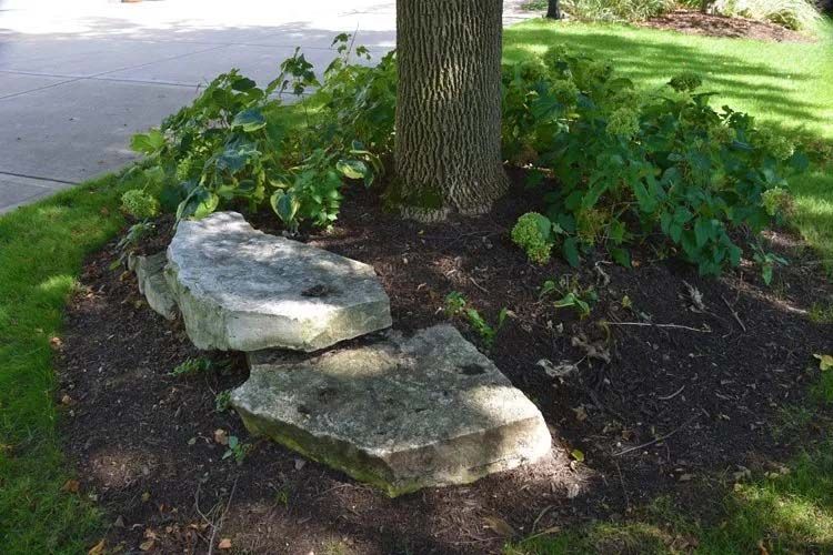 landscape maintenance 8