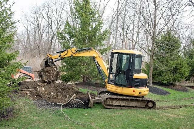 Tree Services 2