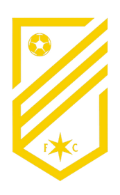DSC logo