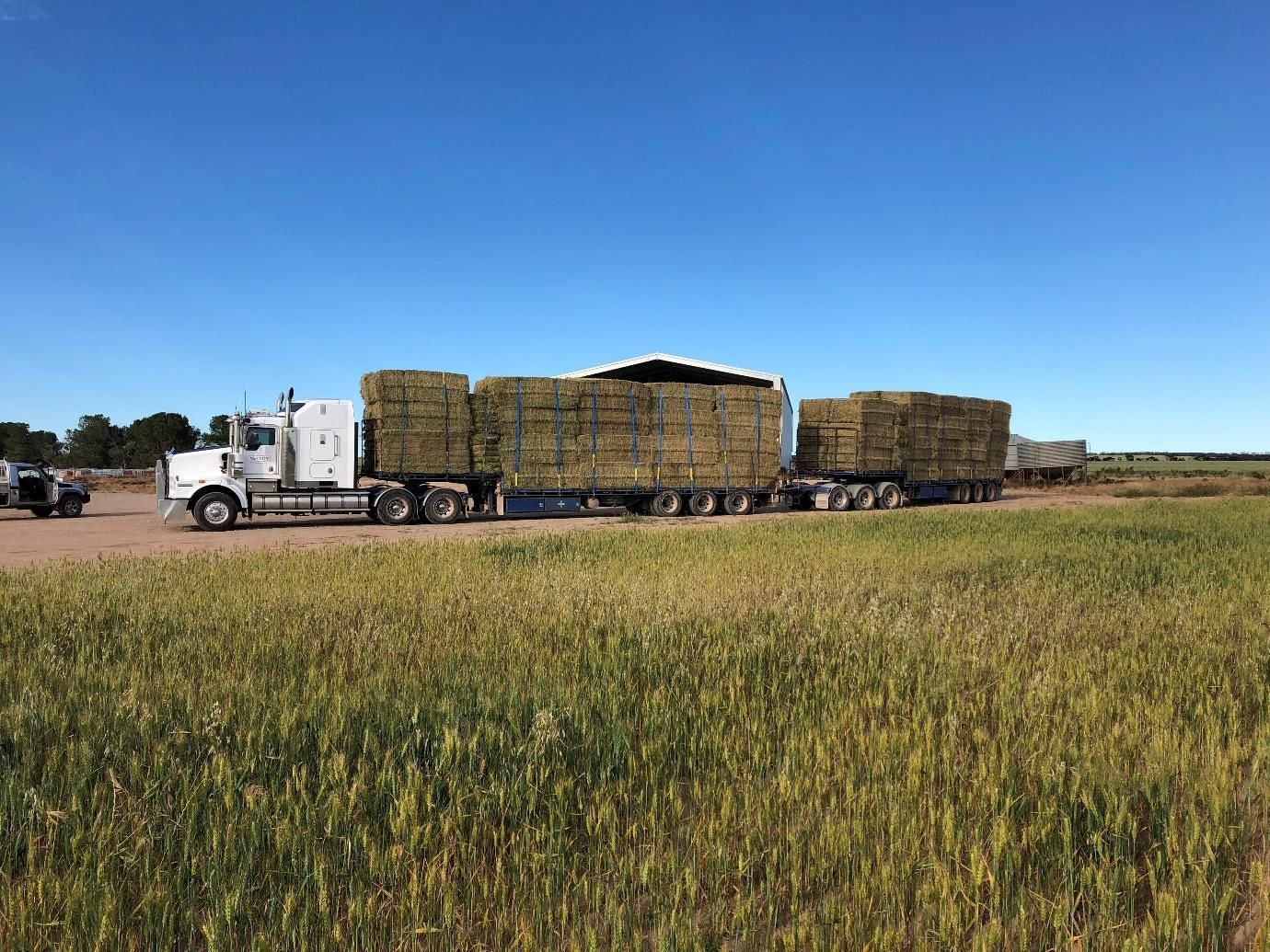 McEvoy Transport