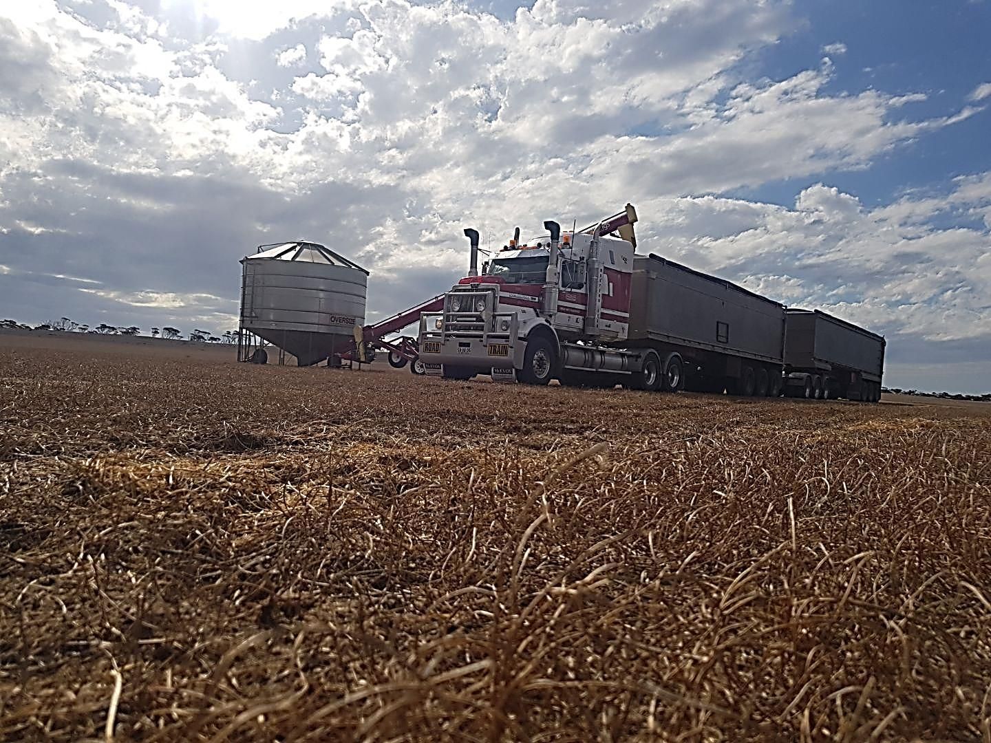 McEvoy Transport