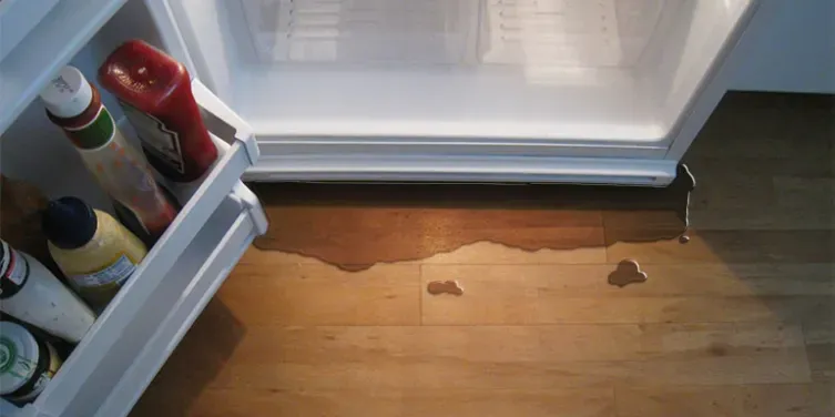 A bottle of ketchup is sitting in a fridge next to a bottle of mayonnaise.
