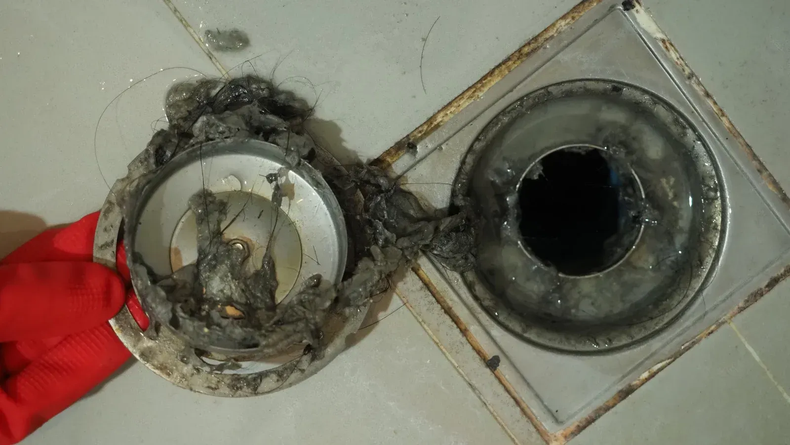 Clogged shower drain with removed strainer revealing a large mass of hair and debris. Red gloved hand holds the strainer.