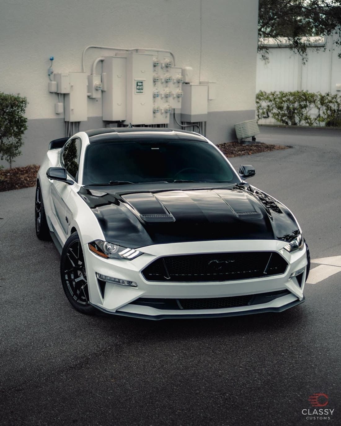 armor car wrap