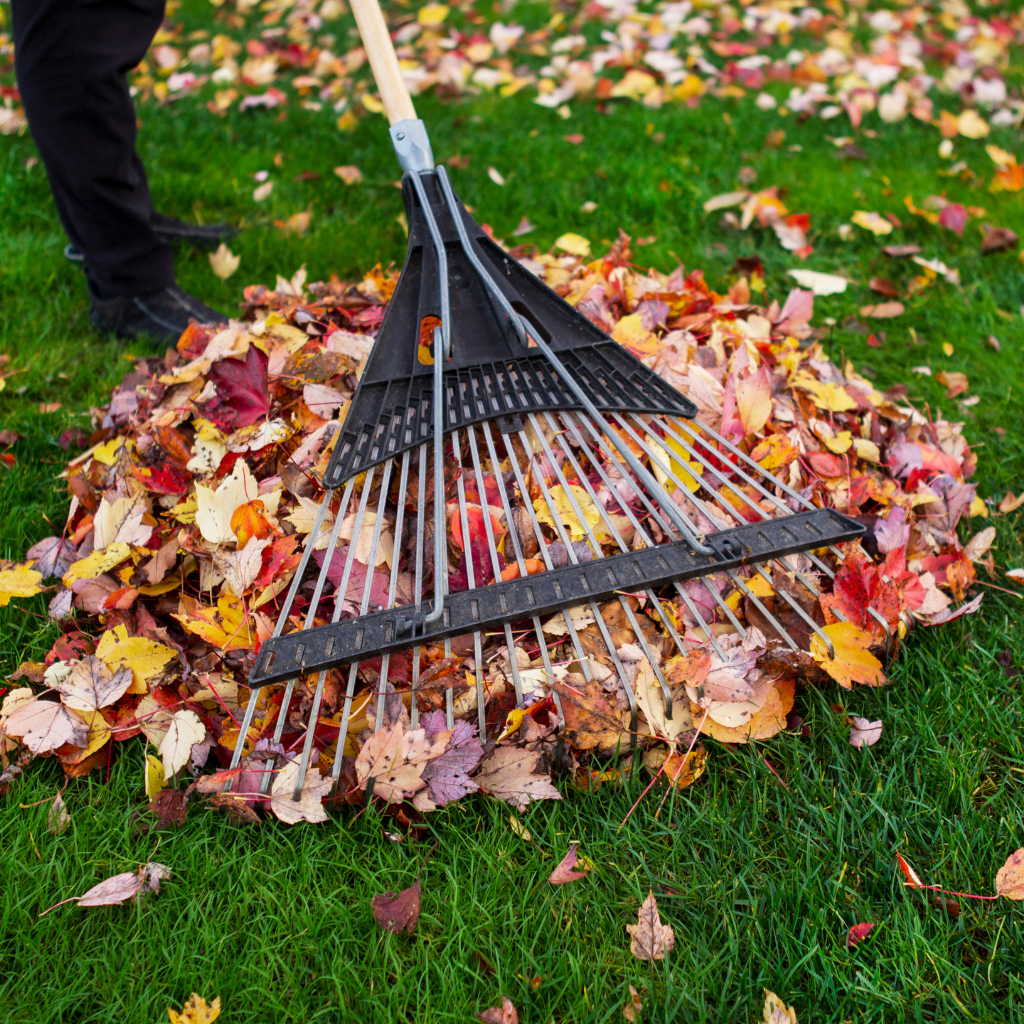 Yard Cleanup Utah