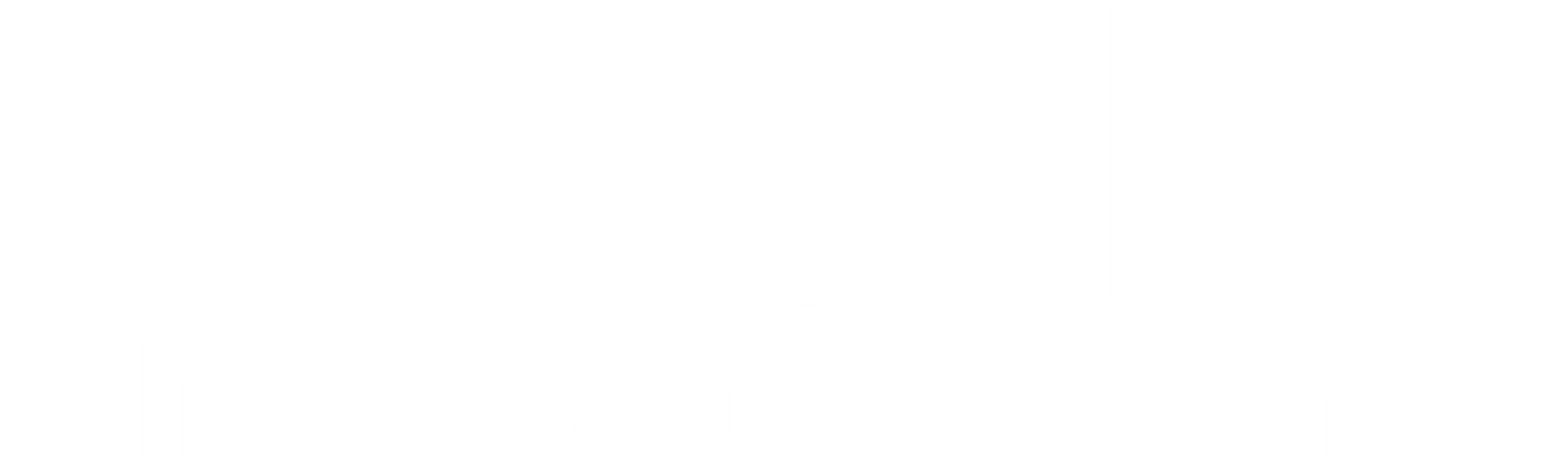 A white logo for Broderick Information Solutions