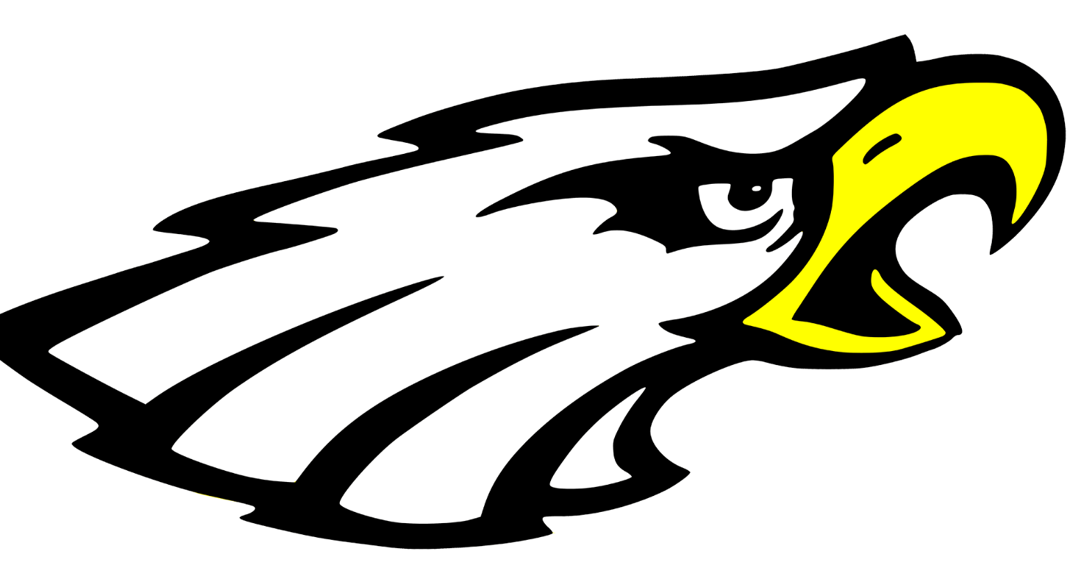 A black and white eagle with a yellow beak on a white background.