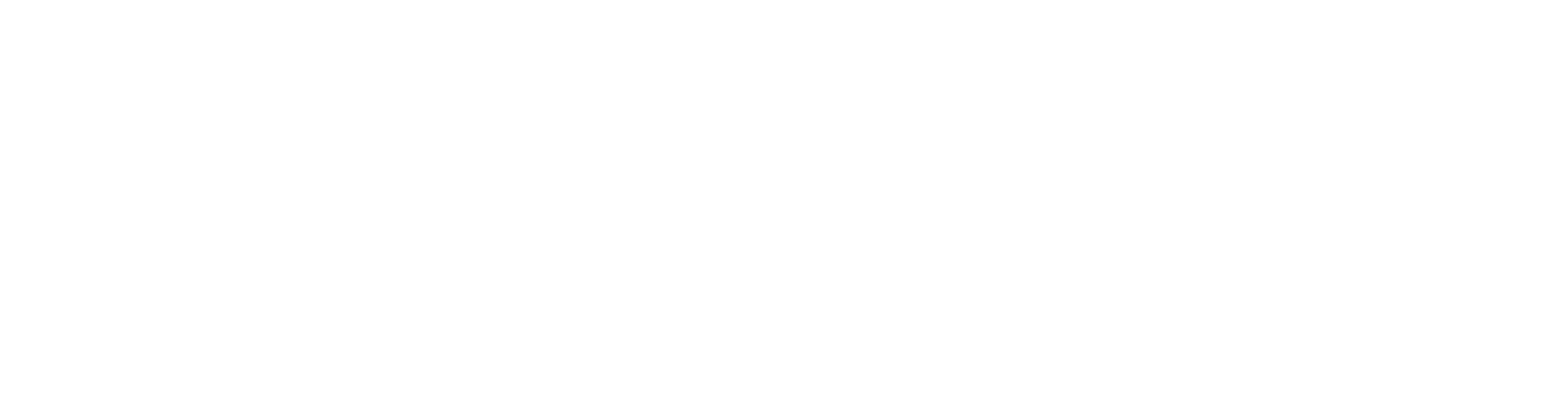 logo-image