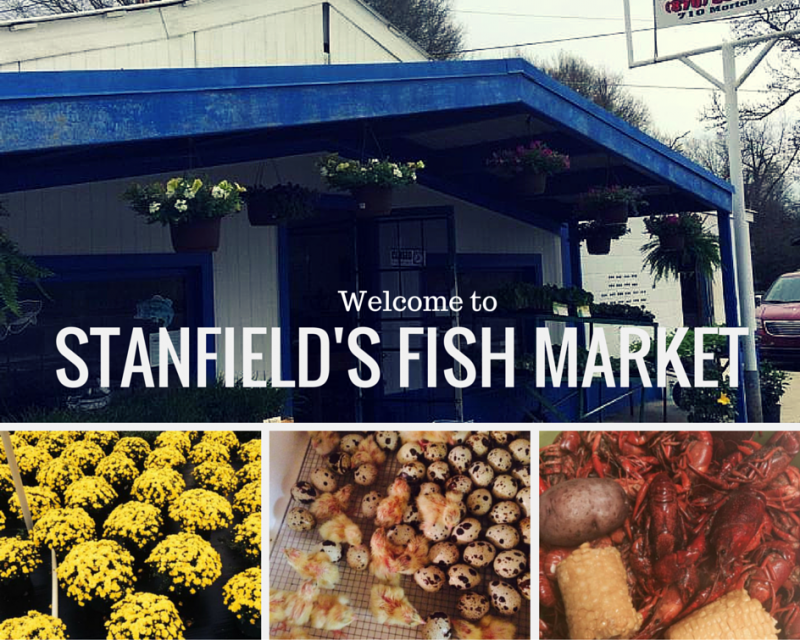 stanfield's fish market collage