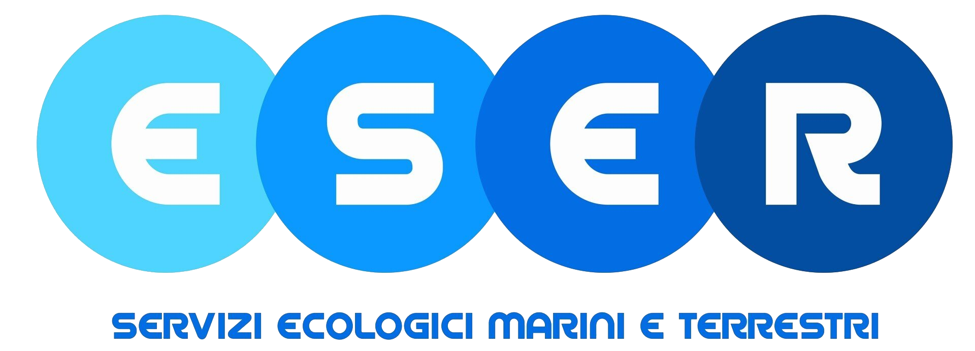 Europa Servizi Eco Rifiuti Srl logo