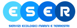 Europa Servizi Eco Rifiuti Srl logo