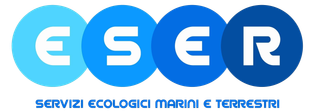 Europa Servizi Eco Rifiuti Srl logo