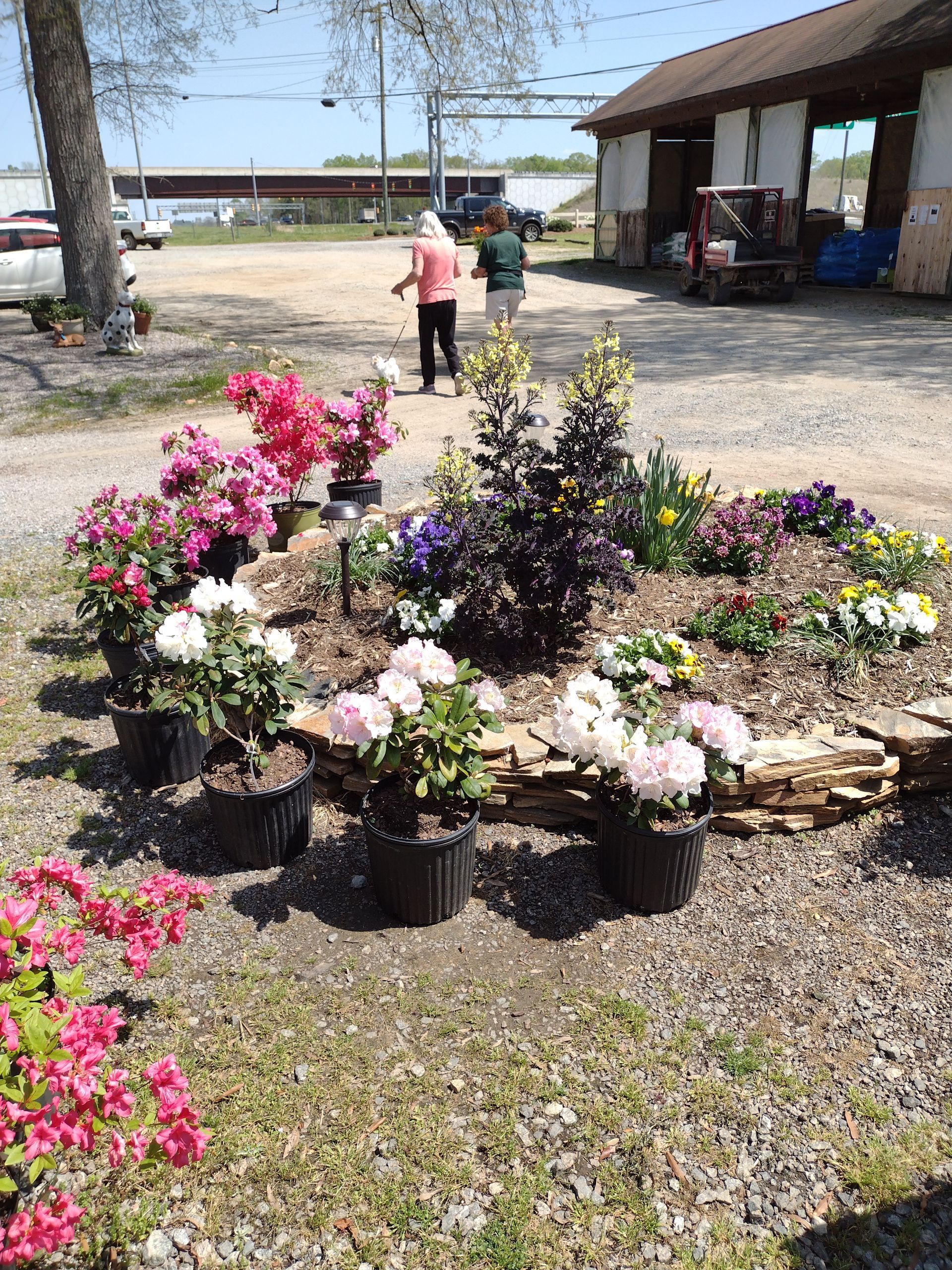 Flowers And Plants Ready For Landscaping – Concord, NC – Christy’s Nursery
