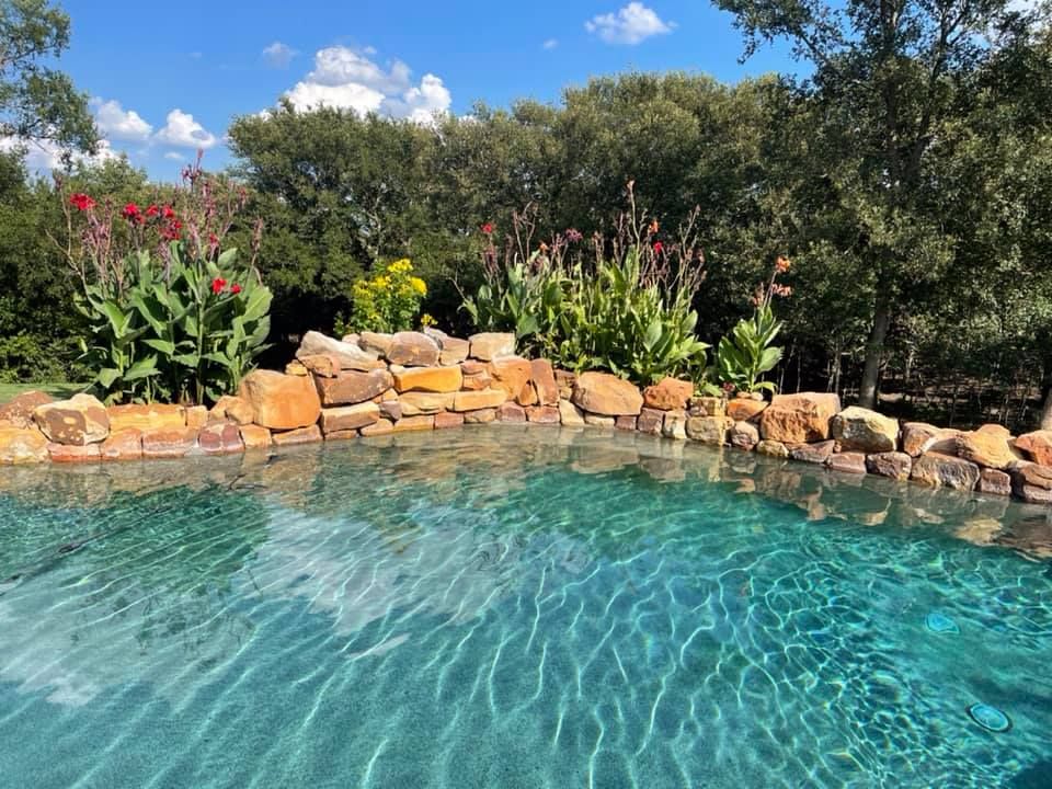 Turquoise backyard pool with stone edge and lush greenery under a blue sky