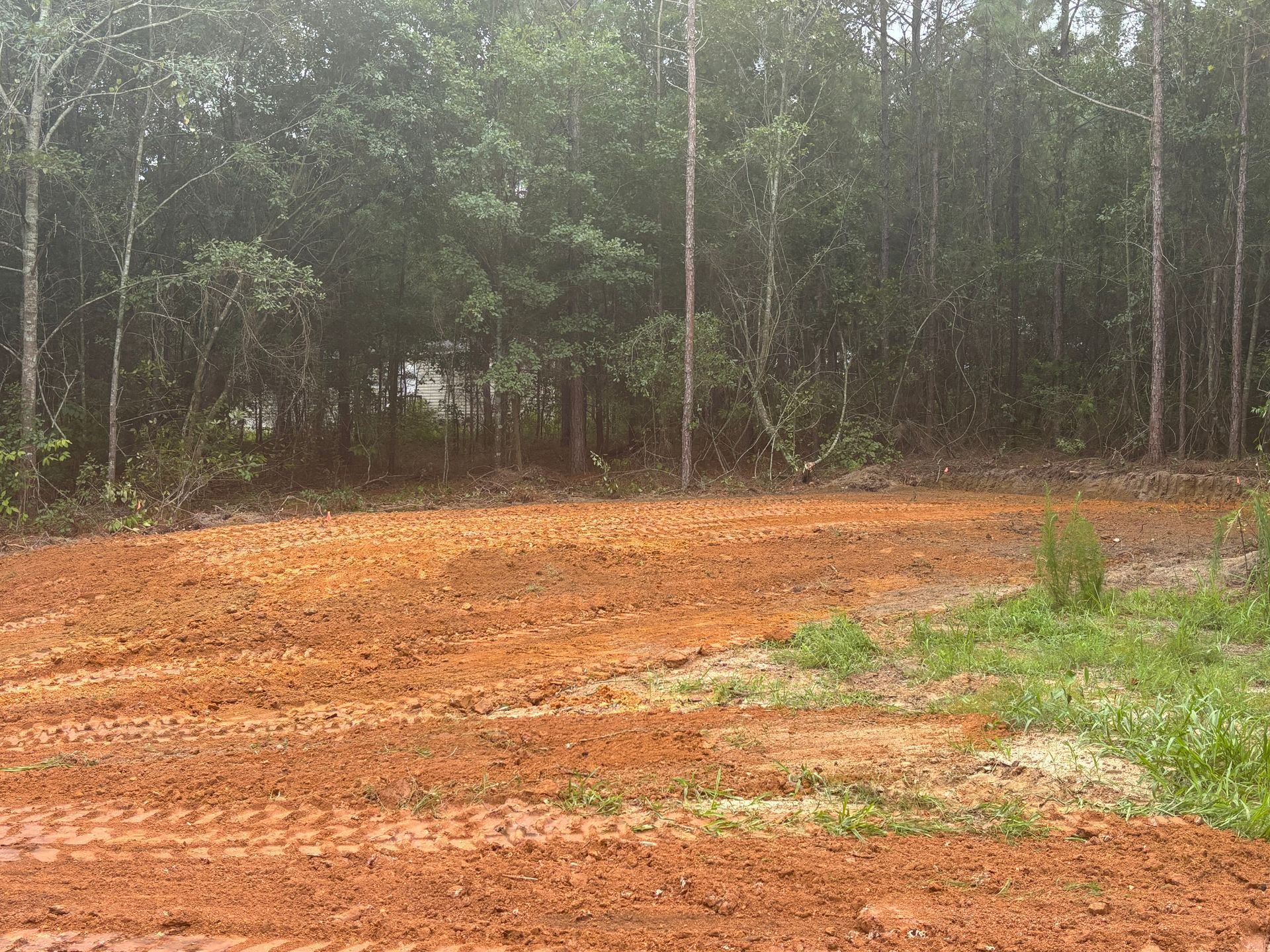 Cleared red dirt lot beside dense green trees and brush on an overcast day