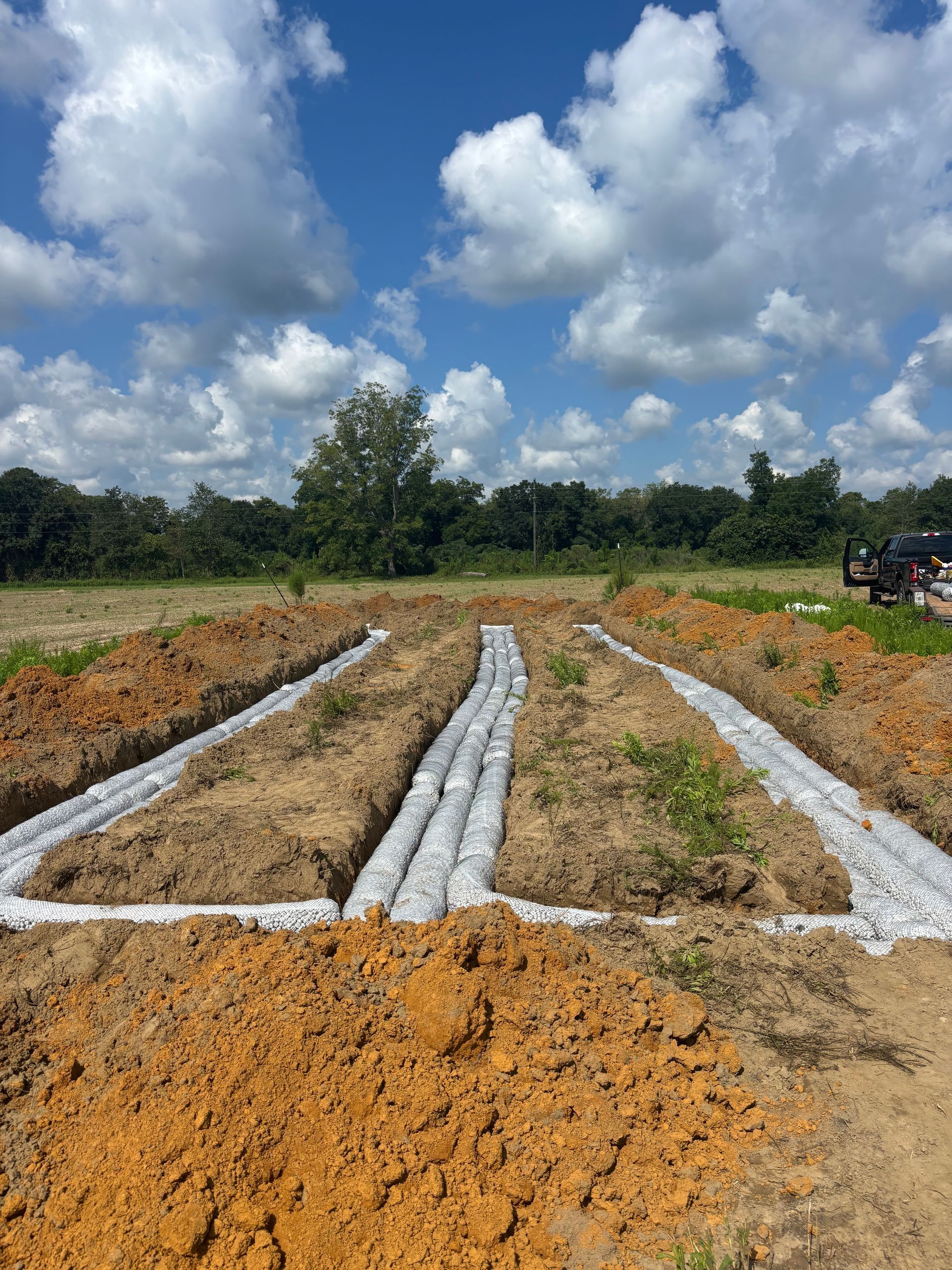Raised crop rows covered in white plastic in a plowed field under a partly cloudy blue sky
