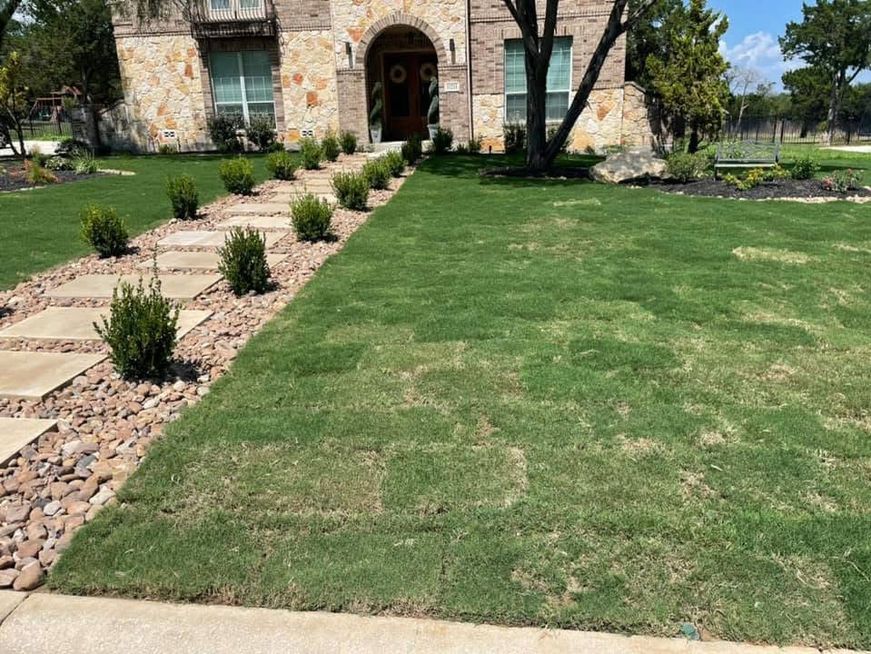 Front yard with green lawn and stone walkway leading to a house entrance