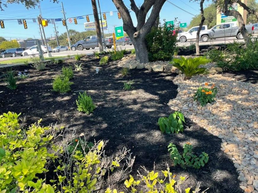 Landscaped roadside garden with mulch, shrubs, flowers, and a tree beside a street and parked cars