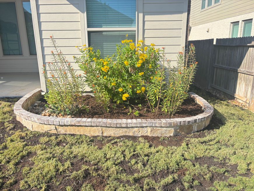 Raised flower bed with yellow flowers and shrubs in front of a house, bordered by stone.