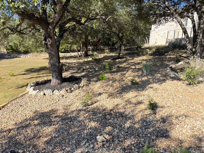 Shaded backyard with oak trees, gravel ground, and a light-colored building in the background
